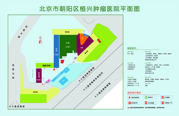 大鸡巴操逼过瘾视频北京市朝阳区桓兴肿瘤医院平面图